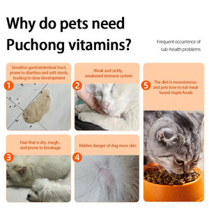 Les suppléments vitaminiques pour chiens et chats soutiennent le système immunitaire Supplément de soutien pour la santé des animaux de compagnie Comprimés à croquer - Product Image 2