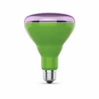 Ampoule LED à spectre complet pour culture de plantes, E26 E27 B22, 6W 8W 10W 16W, 90-260V, pour plantes d'intérieur, légumes, semis, serre