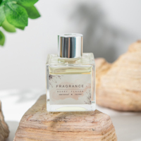 Diffuseur de parfum en rotin de luxe, flacon en verre de 50 ml, vente en gros