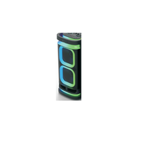 Enceinte Bluetooth extérieure double flamme 10 pouces, enceinte subwoofer, système audio portable haute puissance