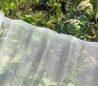 Filets anti-insectes en HDPE pour l'agriculture, ferme, mouches des fruits