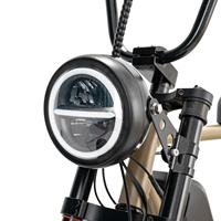 2025 Mario Retro Vintage Mid Drive Moteur 250w Vélo électrique Urban City Ebike