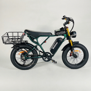 Ridstar Q20 48V 20Ah Bicicleta Eléctrica de Cross con <span class=keywords><strong>Sidecar</strong></span>, Neumático Gordo, Híbrida de Carga para Adultos y Entrega de Alimentos - Product Image 2