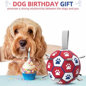 Ballon de football pour chien <span class=keywords><strong>Diman</strong></span> Paw Print avec sangles, pour jouer à l'intérieur/à l'extérieur, cadeau d'anniversaire, jouet interactif pour tirer la balle, pour chiens de petite/moyenne taille (6 pouces) - Product Image 5