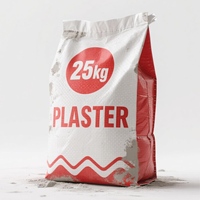 2025 25kg 50kg étanche à l'humidité PP Valve sac sac Flexo impression Surface sac pour ciment argile gypse plâtre mortier poudre