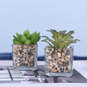 Mini <span class=keywords><strong>piante</strong></span> <span class=keywords><strong>grasse</strong></span> artificiali <span class=keywords><strong>Haworthia</strong></span> in vaso di vetro piccole <span class=keywords><strong>piante</strong></span> in vaso piccola pianta con vaso - Product Image 3