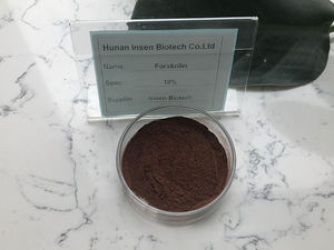 Insen fabrika kaynağı Coleus Forskohlii bitki özü Forskolin - Product Image 2