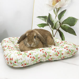 เตียงกระต่ายพร้อมหมอนในตัวสำหรับกระต่ายคุ้ยเขี่ยร์หนูทดลอง - Product Image 4