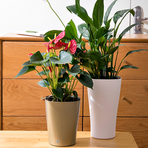 Tapis <span class=keywords><strong>de</strong></span> rempotage <span class=keywords><strong>de</strong></span> plantes imprimé personnalisé à arrosage automatique table à manger jardinières <span class=keywords><strong>de</strong></span> jardin pot <span class=keywords><strong>de</strong></span> fleur extérieur pour bureau - Product Image 6