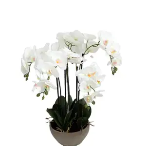 Venda quente de alta qualidade faux toque real phalaenopsis Artificial Branco Phalaenopsis orquídea flores em preto vaso cerâmico