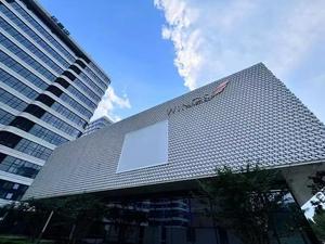 Laser Cutting Acoustic Insulated Aluminum Perforated Wall Panel Aluminum Curtain Wall Customization - Product Image 3