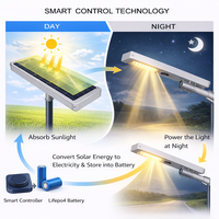 Farola LED Solar de CC de 60W, IP66, Certificación CCC, CE, RoHS, Batería Lifepo4, Aluminio, Garantía de 5 Años, para Carreteras, Jardines, Montaje en Pared
