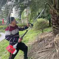Zeer Nuttig Tuingereedschap Olie Palmsnijder Machine Palmfruit Tak Cutter Lange Paal Palmolie Fruit Oogstmachine