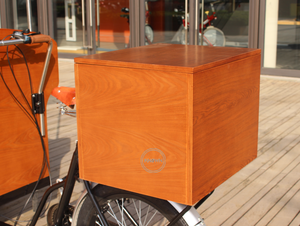 Voiture de vente mobile de vélo de cargaison de rue 2025 avec le tricycle électrique de café d'évier à vendre l'Europe - Product Image 6