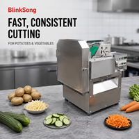 BlinkSong Coupe-légumes électrique multifonction en acier inoxydable, trancheuse alimentaire commerciale pour pommes de terre, carottes, concombres, restaurant