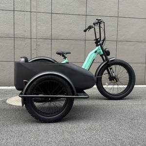 Vente en Gros d'Usine OEM Tricycle Électrique Rétro Style Chopper avec Side-Car pour Animaux de Compagnie, Idéal pour Voyager - Product Image 6