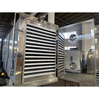 Industriële vriesdroogmachine, automatische commerciële lyofilisator voor vlees, fruit, voedsel en groenten, vacuümdroging
