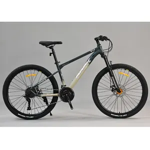 Alta calidad 12 velocidades bicicleta para adultos cuadro de fibra de carbono 29 "bicicleta de montaña para hombres