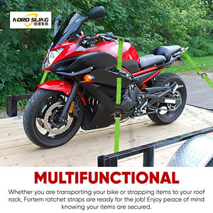 अनुकूलित पॉलिएस्टर रैचेट टाई टाई स्ट्रैप टाई 800 किलोग्राम ब्रेक ताकत के साथ मोटरसाइकिल और ट्रकों के लिए प्रमाणित - Product Image 4