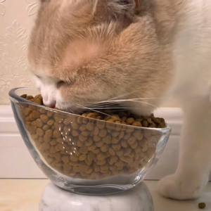 Alimento Seco para Gatos 28, Horneado a Baja Temperatura, Alto en Proteínas, Rico en Pollo y Carne Fresca de Res para Todas las Etapas de la Vida, MOQ Bajo - Product Image 4