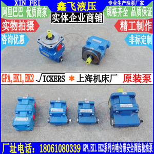 Pompe à huile à engrenages internes GPA3-25 40 63 EK1 EK2 20 R6.3 R63 de l'usine de machines-outils de Shanghai, équipement de machines-outils - Product Image 1