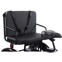 Tricycle électrique à pneus larges de 24 pouces pour adultes, moteur sans balais de 750 W et cadre en acier à haute teneur en carbone, option de transport de marchandises/siège robuste