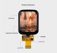 1,69-Zoll LCD-Bildschirm mit SPI-Schnittstelle Kapazitiver Touchscreen IPS-Technologie RGB-Farbe Anpassbar