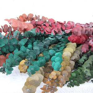 10 Uds. Planta de eucalipto preservada de hojas de eucalipto secas reales naturales para decoración de eventos de Ducha - Product Image 3