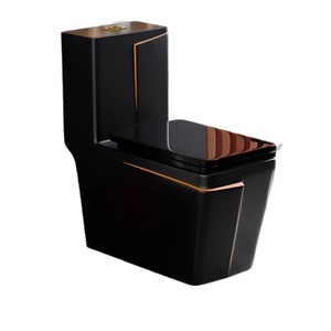 Vente chaude économie d'eau moderne de Style européen toilette en céramique coloré Siphon rinçage noir fermeture lente double bouton - Product Image 1