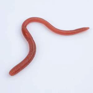 Gusanos Artificiales Rojos de Simulación de Lombriz, 8cm 10cm, Señuelos Blandos con Olor a Pescado para Equipo de Pesca de Niñas - Product Image 6