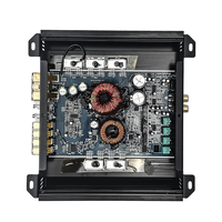 AK-DG1 professionnel 1 CH classe D bloc Mono 500W RMS gamme d'amplificateur de voiture amplificateur Audio Mono haute puissance, amplificateur à un canal