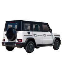 Vente flash Véhicule électrique adulte à faible vitesse entièrement fermé de haute qualité G-Class 3500W avec batterie au lithium - Nouveau modèle