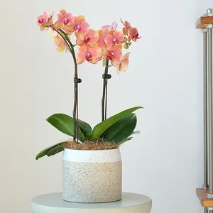 Vaso de cerâmica para decoração de interiores, cilíndrico, estilo nórdico, com esmalte salpicado, vaso de flores, suculenta e chique