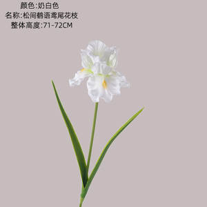 Songrenheyu Design moderne INS Style fleur d'<span class=keywords><strong>iris</strong></span> artificielle pour la décoration de la maison et le mariage-Pots de fleurs et jardinières en gros - Product Image 6