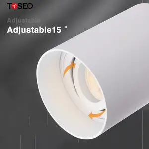 Fabricante de iluminación Luces de techo montadas en superficie Empotrada Aluminio fundido a presión Led Downlight