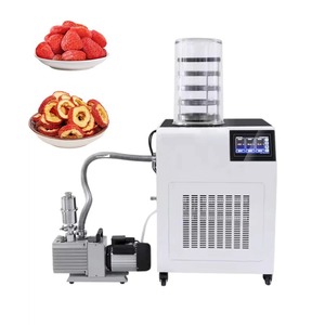 Lyophilisateur Électrique à Chaleur <span class=keywords><strong>par</strong></span> Convection, Matériau SUS304, 1300W AC220V, Piège à Froid -60°C/-80°C, 2PA, pour la Transformation Alimentaire de Pointe - Product Image 5