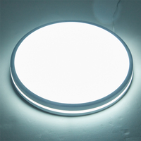 Plafonnier LED à triple l'épreuve de la lumière mystérieuse de couleur noire de grande taille pour l'usage de balcon