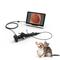 Caméra d'endoscopie portable Vericare 2.8mm VEC-120 d'endoscope vétérinaire avec tube de 610mm pour usage hospitalier de clinique animale