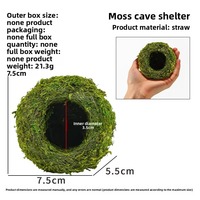 Caverne de cachette hydratante en mousse pour reptiles, habitat pour serpents et lézards, décoration de terrarium, maison de cachette