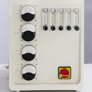 Biorreactor de fermentación de vidrio Biorreactor de levadura de 5L con sensor de temperatura de PH - Product Image 4