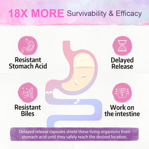 Private Label Vrouwen Ph Balans Vaginale Probiotica Capsules Vitaminen Supplement Voor Volwassen Vaginale Gezondheid Voor Zwangere Vrouwen - Product Image 4