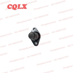 Bộ Phận Động Cơ Xe Máy Timing <span class=keywords><strong>Chain</strong></span> <span class=keywords><strong>Tensioner</strong></span> Cho <span class=keywords><strong>Bajaj</strong></span> 225cc Phụ Tùng Xe Kéo Tự Động - Product Image 5