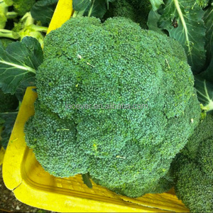 Nueva cosecha IQF, brócoli congelado, verduras frescas congeladas para una alimentación saludable - Product Image 3