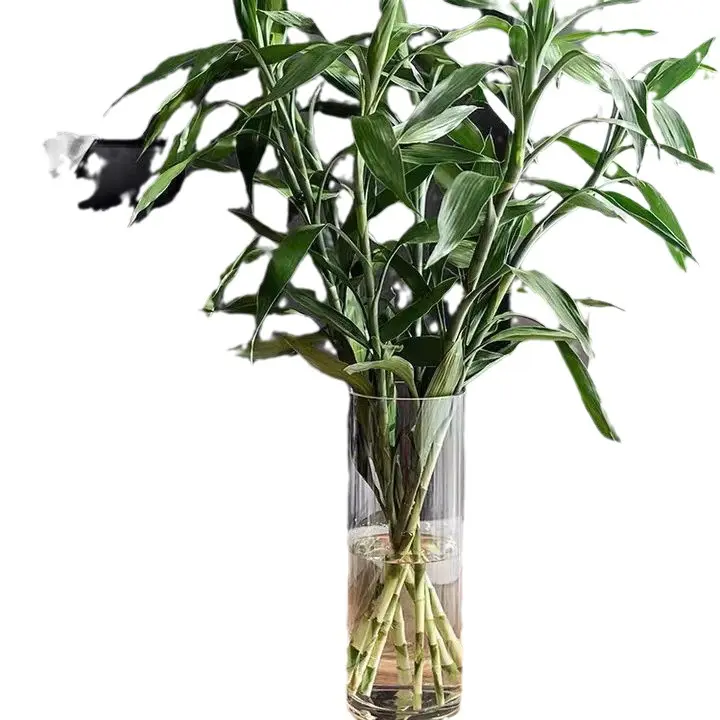 卸売家庭用品透明エレガントシンプルシリンダートールクリアフラワーガラス花瓶
