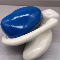Modèle des ganglions basaux ventriculaires - Modèle anatomique du système nerveux humain pour l'enseignement de la neurosciences