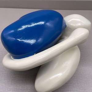 Modèle des ganglions basaux ventriculaires - Modèle anatomique du système nerveux humain pour l'enseignement de <span class=keywords><strong>la</strong></span> <span class=keywords><strong>neurosciences</strong></span> - Product Image 4