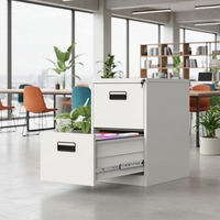 Archivador Moderno de Acero con 2 Cajones, Cerradura, Resistente, Gran Capacidad de Carga, Almacenamiento Comercial para Oficinas, Hoteles y Hospitales, Estilo Panel de Madera