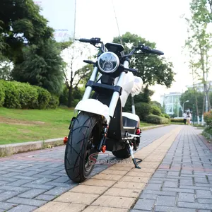 2019 Hot Selling Hot Electric Scooter 1000W Citycoco Scooter Hot Electric Motorcycle For EU&US Market