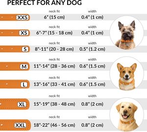<span class=keywords><strong>Collar</strong></span> de Perro de Cuero Enrollado Nibao, <span class=keywords><strong>Collar</strong></span> Redondo Acolchado Suave para Cachorros, Apto para Todas las Tallas de Perros - Product Image 5