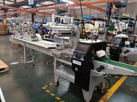 Machine d'alimentation par friction avec ensacheuse horizontale Flow Pack